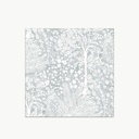 met-03402254a_1