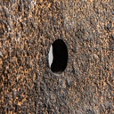 32592-01.jpg