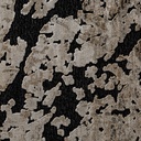 22990-02.jpg