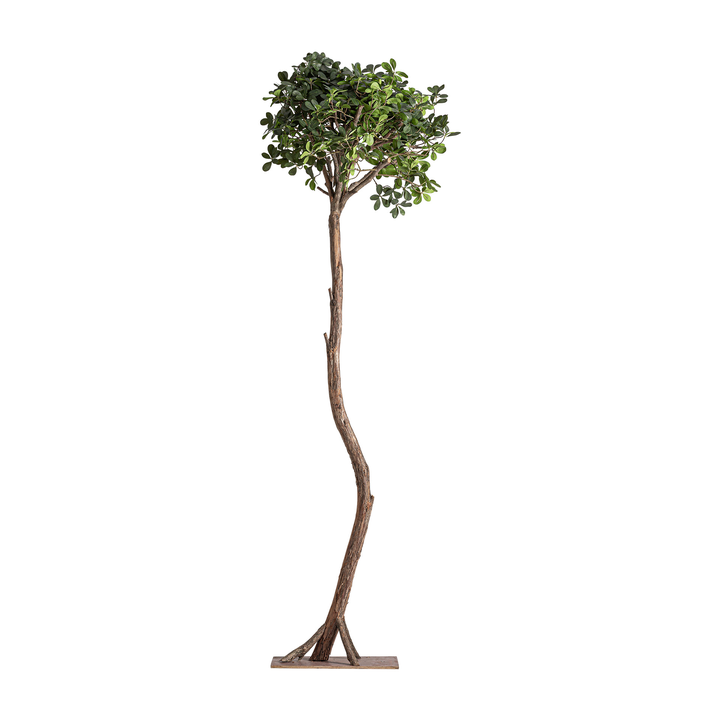 [38083] PLANTA