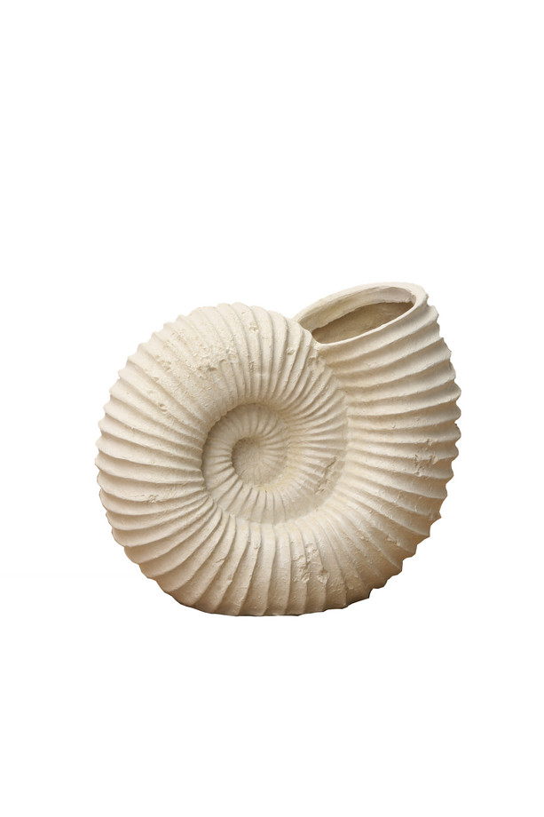 [663TE001] JARRÓN CARACOLA RESINA BLANCA