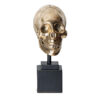 Busto calavera