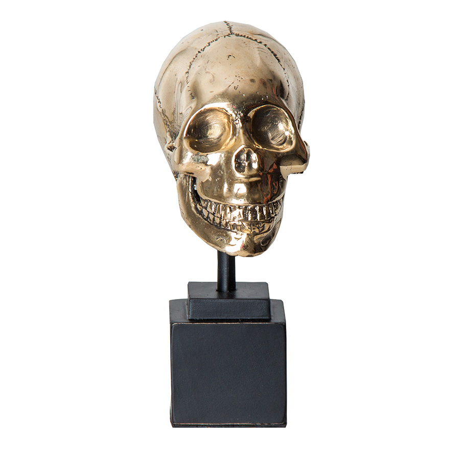 Busto calavera
