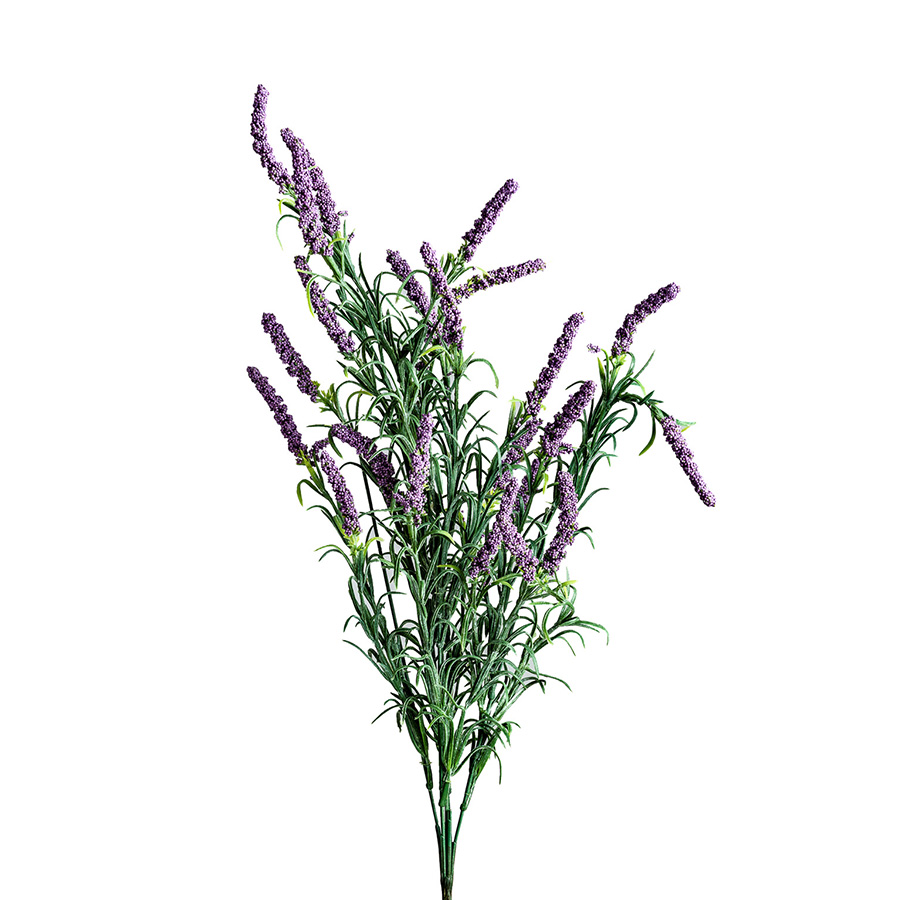 Flor lavanda