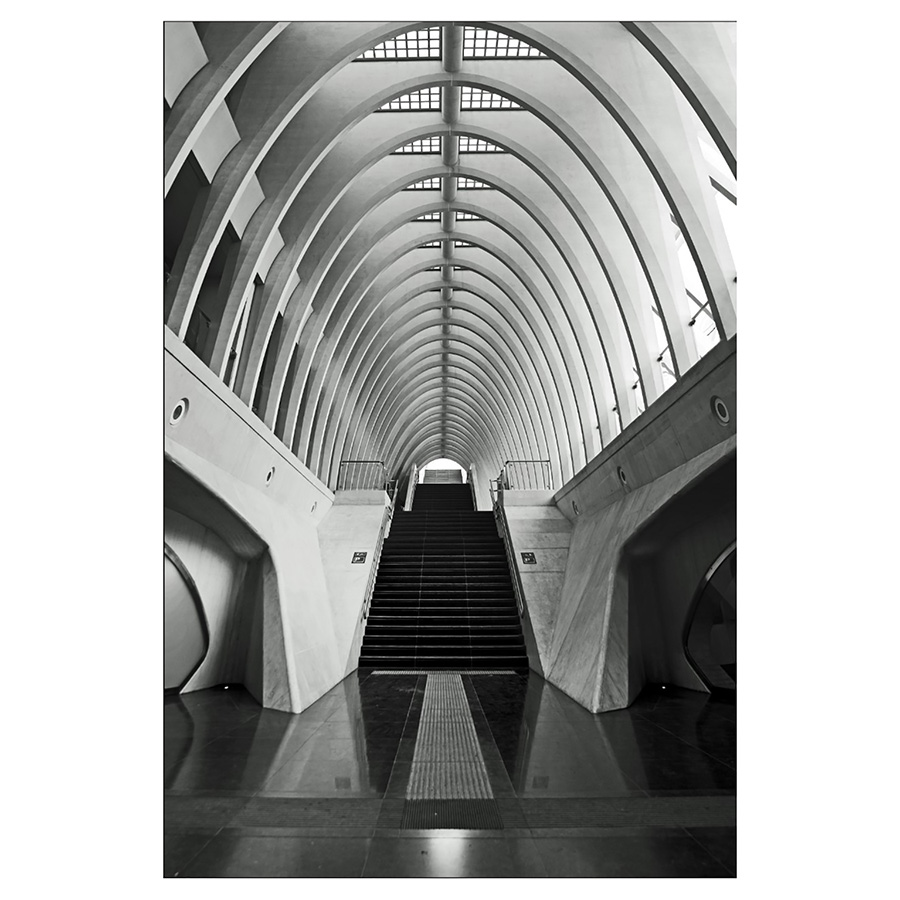 Lienzo rectangular culume