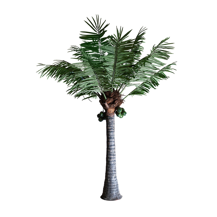 Planta palmera