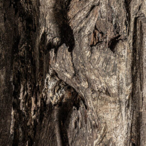 combinado con hierro.