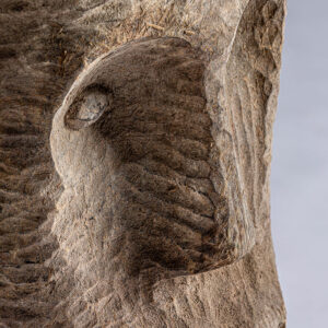 combinado con hierro