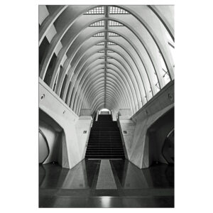 Lienzo rectangular culume