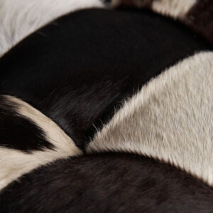 en color blanco y espuma.