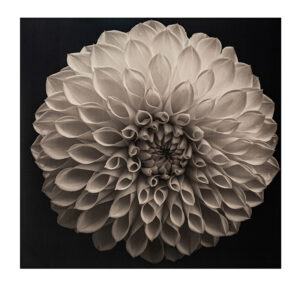 Lienzo whill de estilo clásico