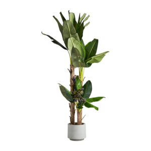 Planta Platanero de estilo colonial fabricado en poliéster en color verde combinado con plástico.